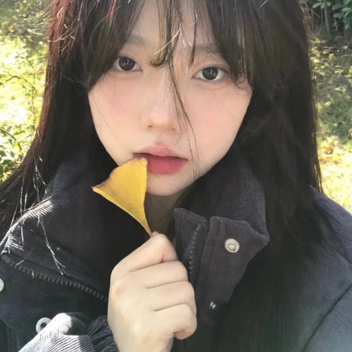 风雨残梦