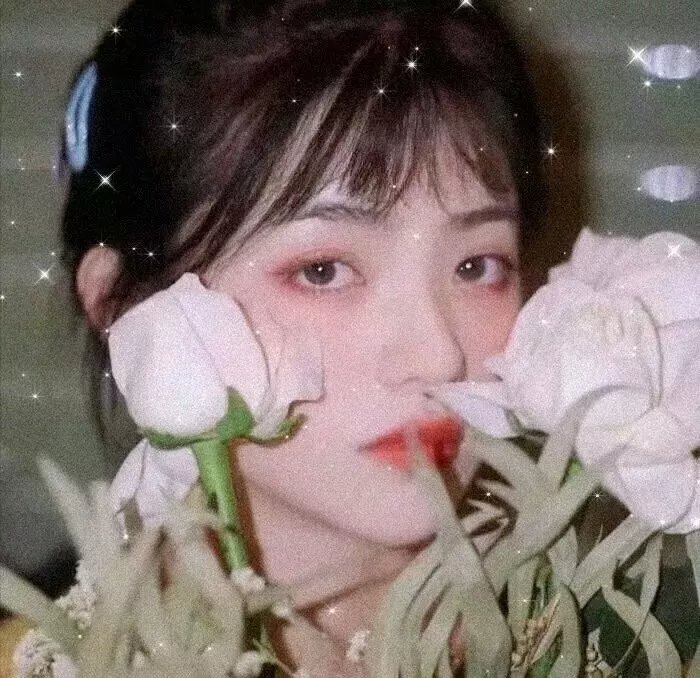 世上最美丽的奥黛丽