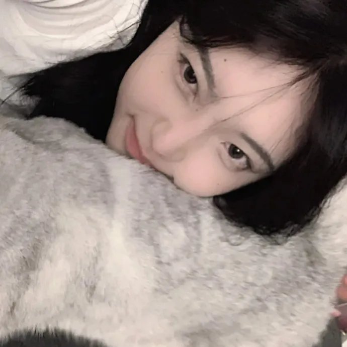 绝望主妇第三季